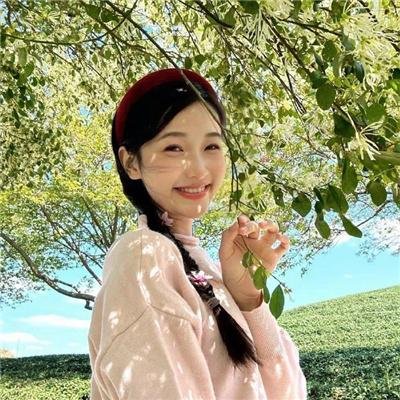 粉红色火烈鸟